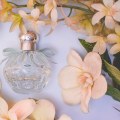 Unleash Your Scent Game: Affordable Alternatives to Designer Perfumes